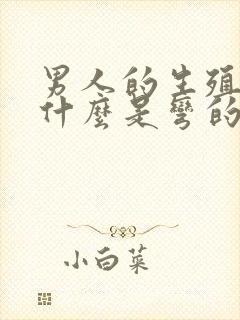 男人的生殖器为什么是弯的封面