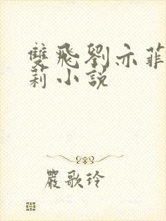 双飞刘亦菲刘晓莉小说