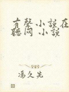 有声小说在线收听网 小说封面