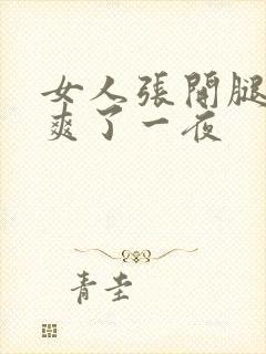 女人张开腿让我爽了一夜封面