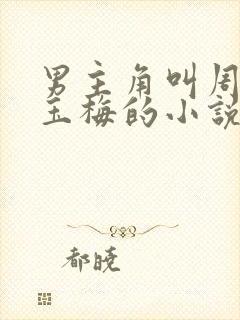 男主角叫周扬唐玉梅的小说