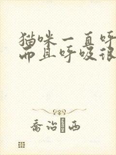 猫咪一直呼噜噜而且呼吸很快