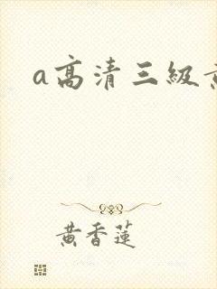 a高清三级黄片