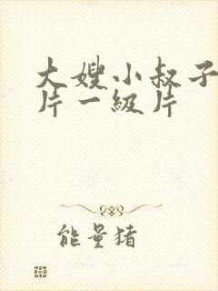 大嫂小叔子一级片一级片