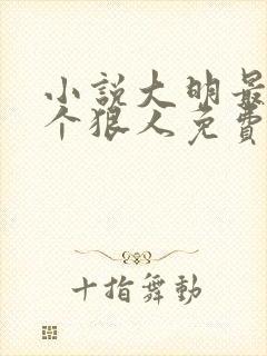 小说大明最后一个狠人免费阅读