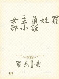 女主角姓罗的全部小说封面