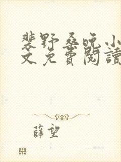 裴野桑晚小说全文免费阅读最新章节