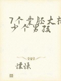 7个囊胚大概多少个男孩封面