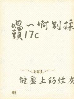 嗯～啊别揉我奶头17c