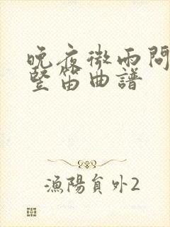 晚夜微雨问海棠竖笛曲谱