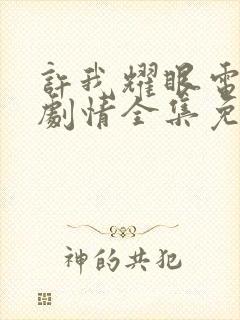 许我耀眼电视剧剧情全集免费观看