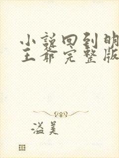 小说回到明朝当王爷完整版