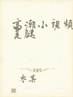 高潮小视频丝袜美腿