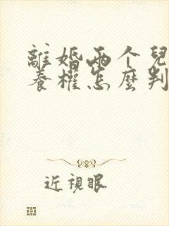 离婚两个儿子抚养权怎么判定封面