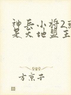 神兵小将2燕侠是天地盟主是第几集封面