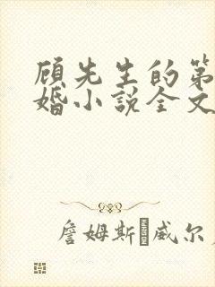 顾先生的第一宠婚小说全文