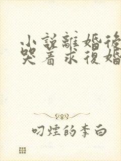 小说离婚后前夫哭着求复婚免费阅读