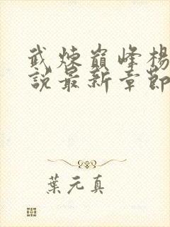 武炼巅峰杨开小说最新章节阅