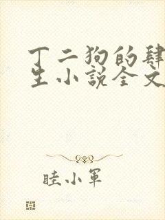 丁二狗的肆意人生小说全文阅读