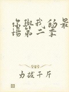 你与我的最后战场第二季