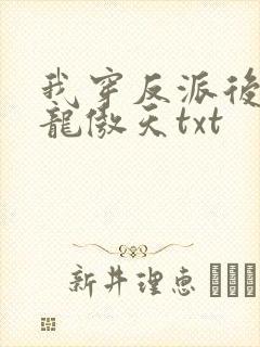 我穿反派后攻了龙傲天txt