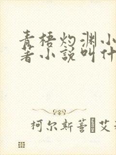 青梧灼渊小说原著小说叫什么名字