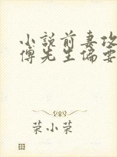 小说前妻攻略:傅先生偏要宠我大结局