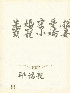 先婚密爱,总裁霸宠小娇妻 吉祥夜