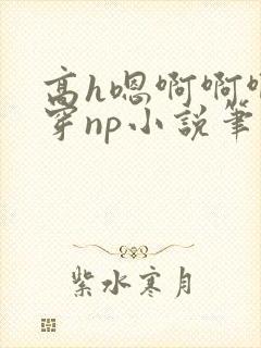 高h嗯啊啊啊快穿np小说笔趣阁