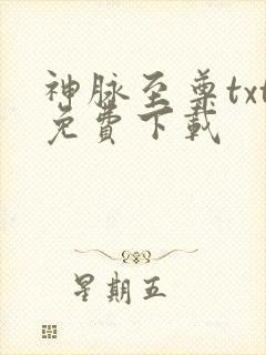 神脉至尊txt免费下载