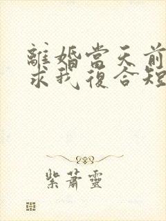 离婚当天前夫跪求我复合短剧完整版