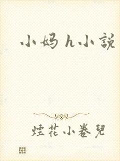 小妈 h小说