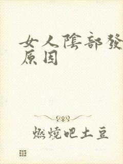 女人阴部发黑的原因