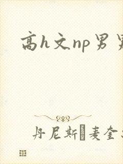 高h文np男男封面