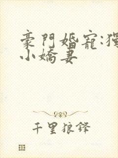 豪门婚宠:独宠小娇妻