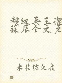 超级兵王混都市苏辰全文免费阅读