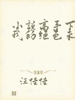 小说高手下山:我的绝色未婚妻免费下载