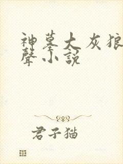神墓大灰狼版有声小说