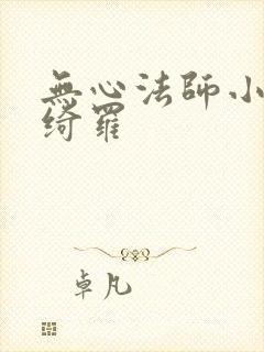 无心法师小说岳绮罗封面