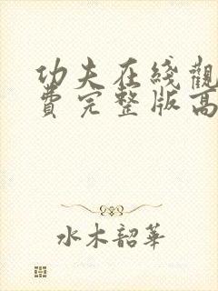 功夫在线观看免费完整版高清国语