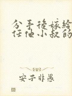 分手后嫁给了前任他小叔的小说封面