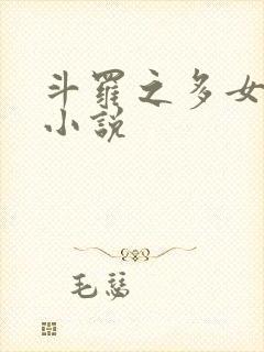 斗罗之多女主的小说