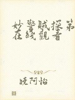 妙警贼探第三季在线观看封面