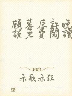 顾慕辰许晚音小说免费阅读最新章节封面