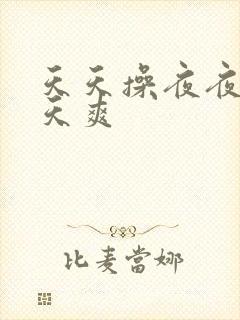 天天操夜夜操天天爽