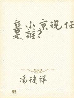 龚小京现任丈夫是谁?封面