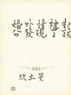 婚外情被对方老公发现了该怎么处理封面