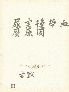 尿完后带血是什么原因封面