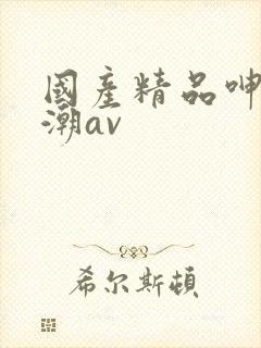 国产精品呻吟高潮av