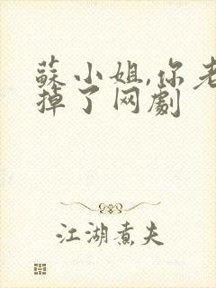 苏小姐,你老公掉了网剧